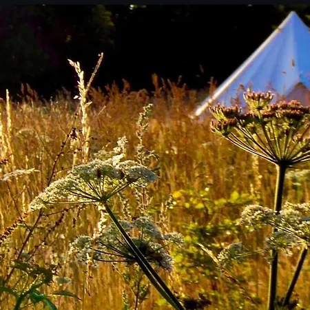 The Oaks Tent Pitches With No Accommodation Supplied And You Must Bring Your Own Tent Colkirk Exterior foto