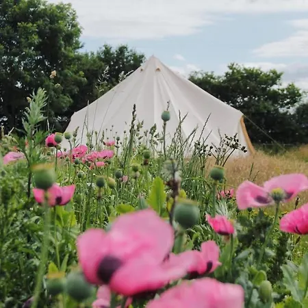 The Oaks Tent Pitches With No Accommodation Supplied And You Must Bring Your Own Tent Colkirk Exterior foto