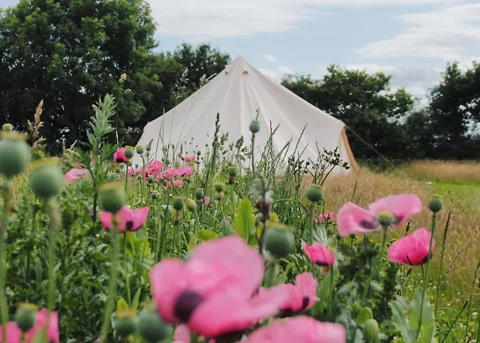 The Oaks Tent Pitches With No Accommodation Supplied And You Must Bring Your Own Tent