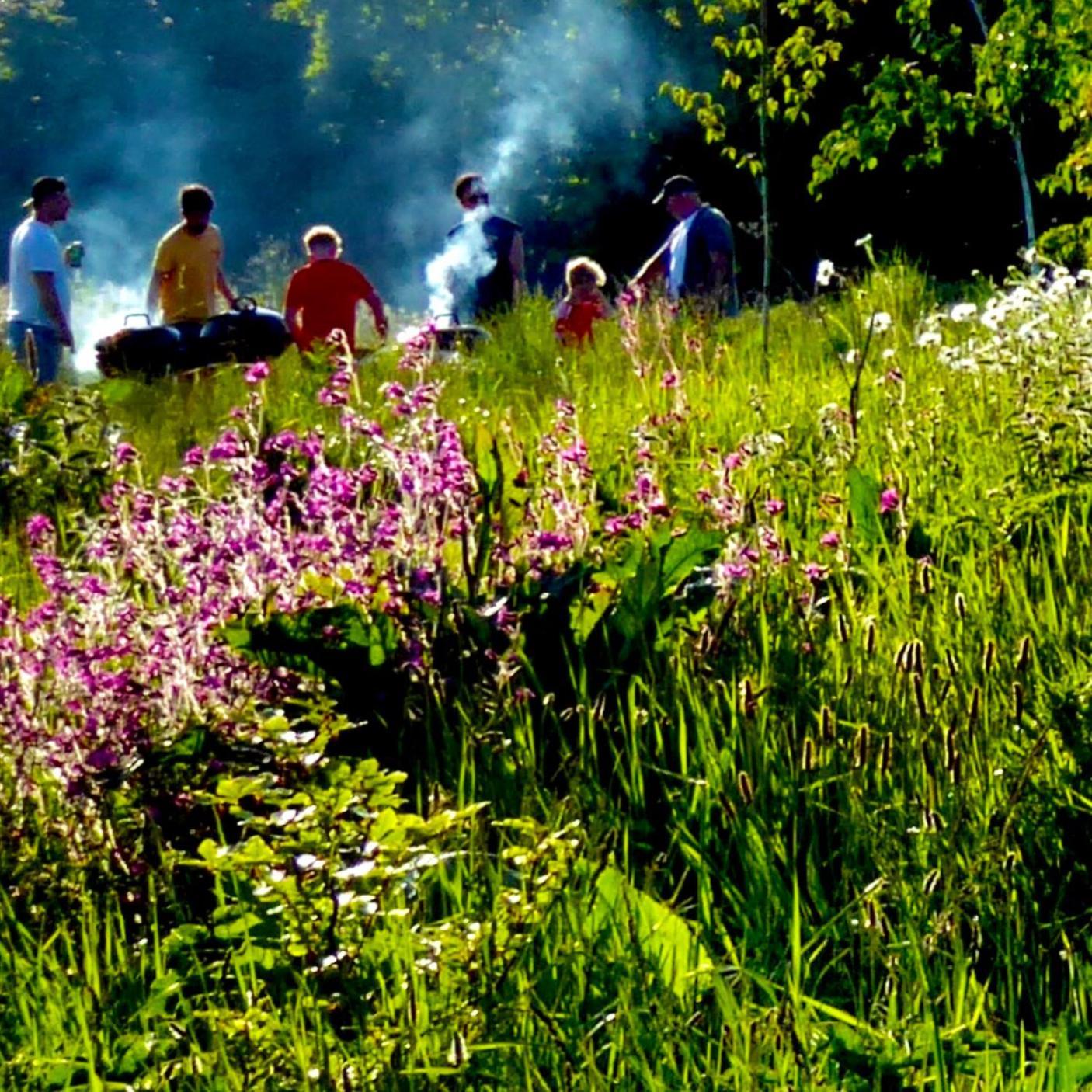 The Oaks Tent Pitches With No Supplied And Must Bring Your Own Tent Campsite *